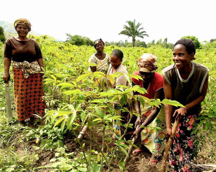 Microfinance au Cameroun