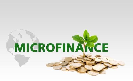 Microfinance au Cameroun